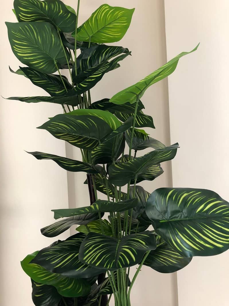 home planters 1
