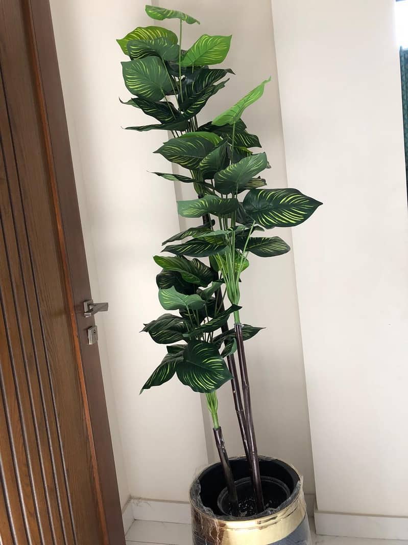 home planters 10