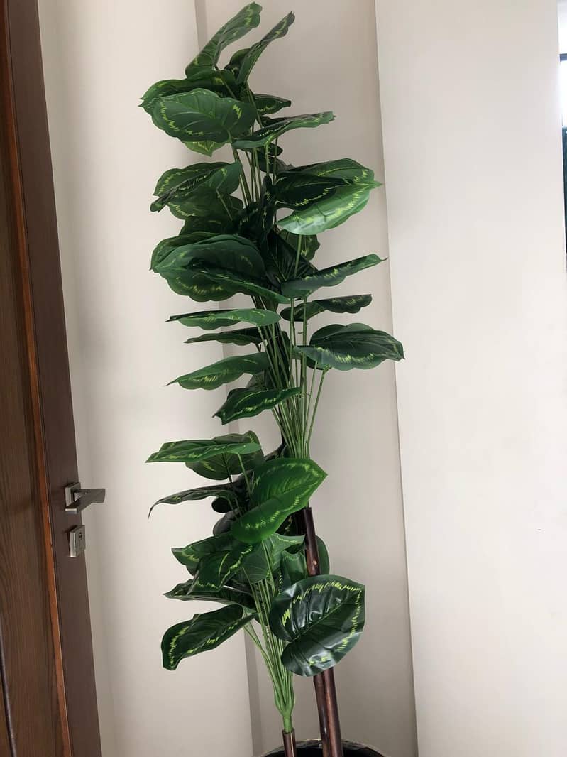 home planters 11