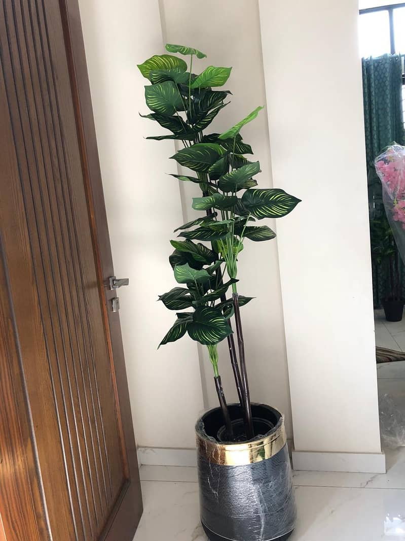 home planters 12