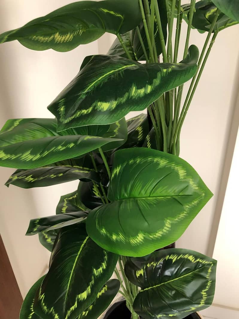 home planters 15