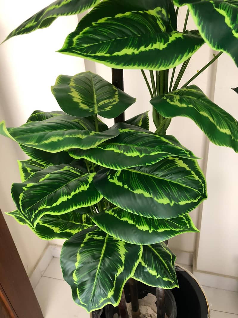 home planters 16