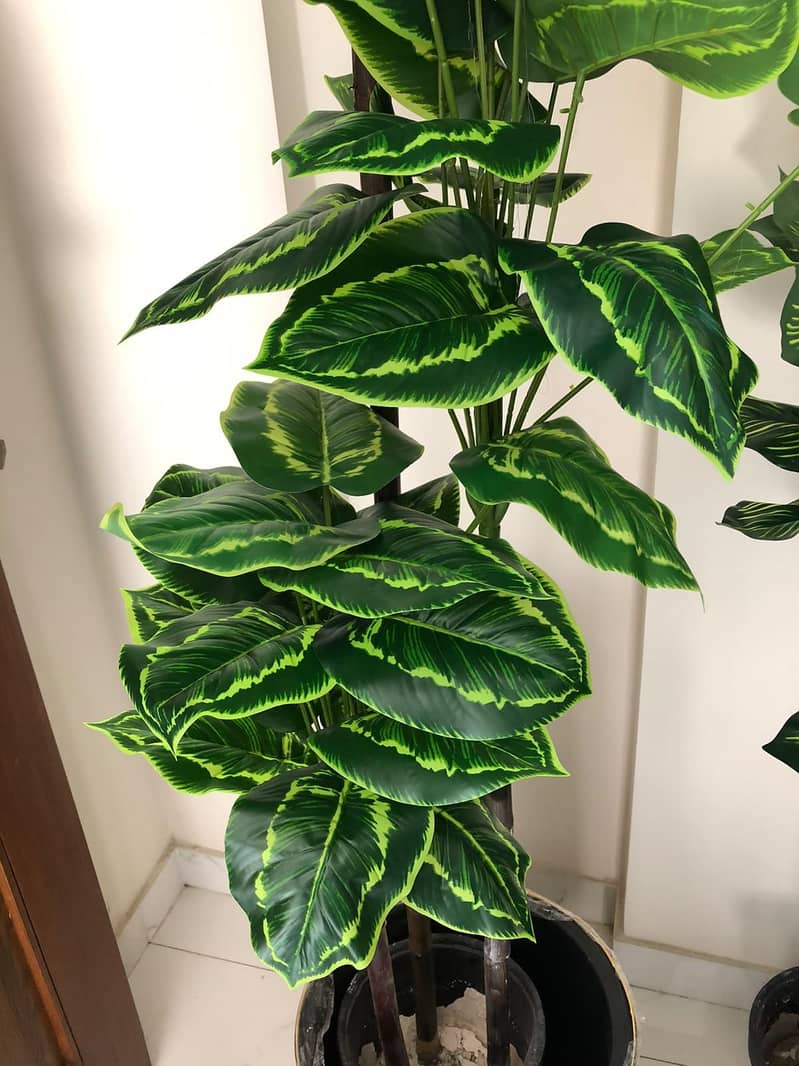 home planters 17