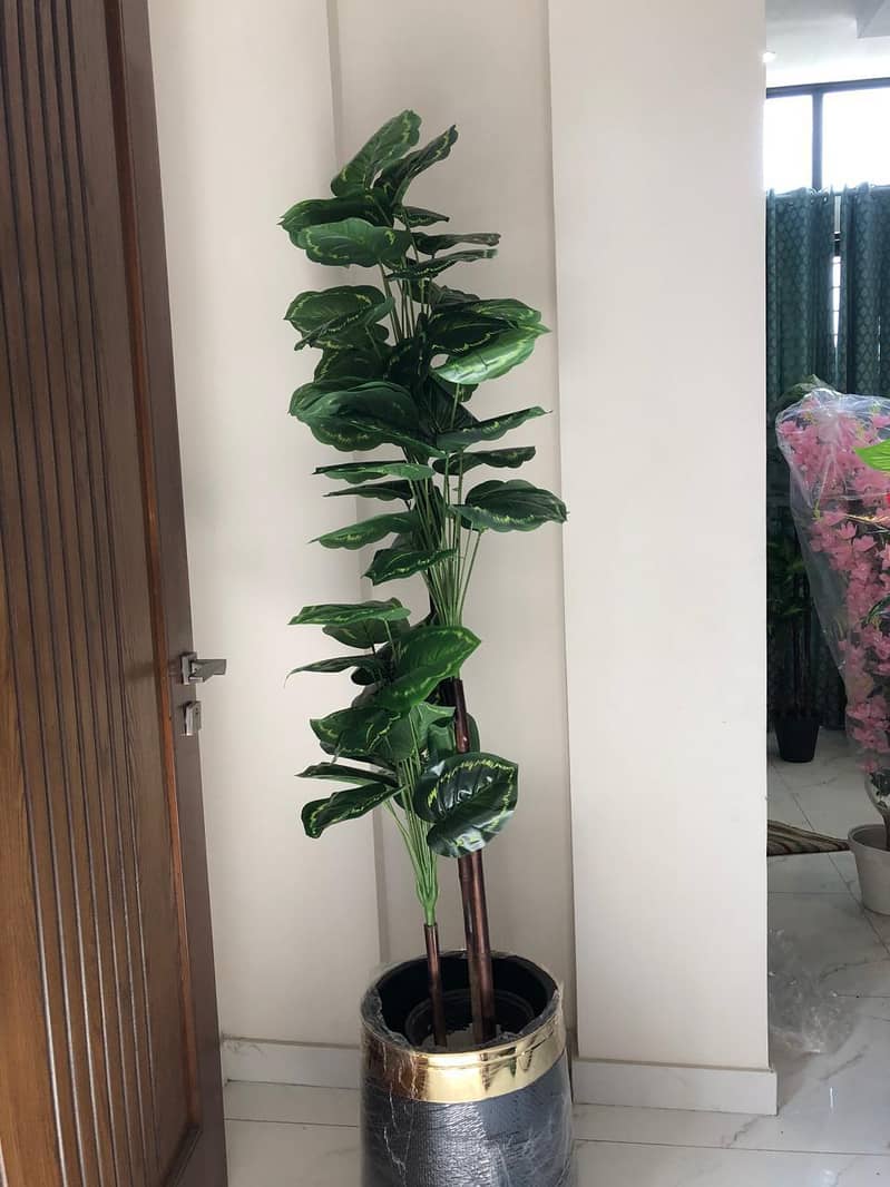 home planters 18