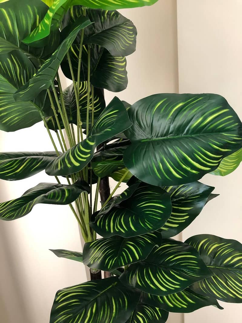 home planters 19