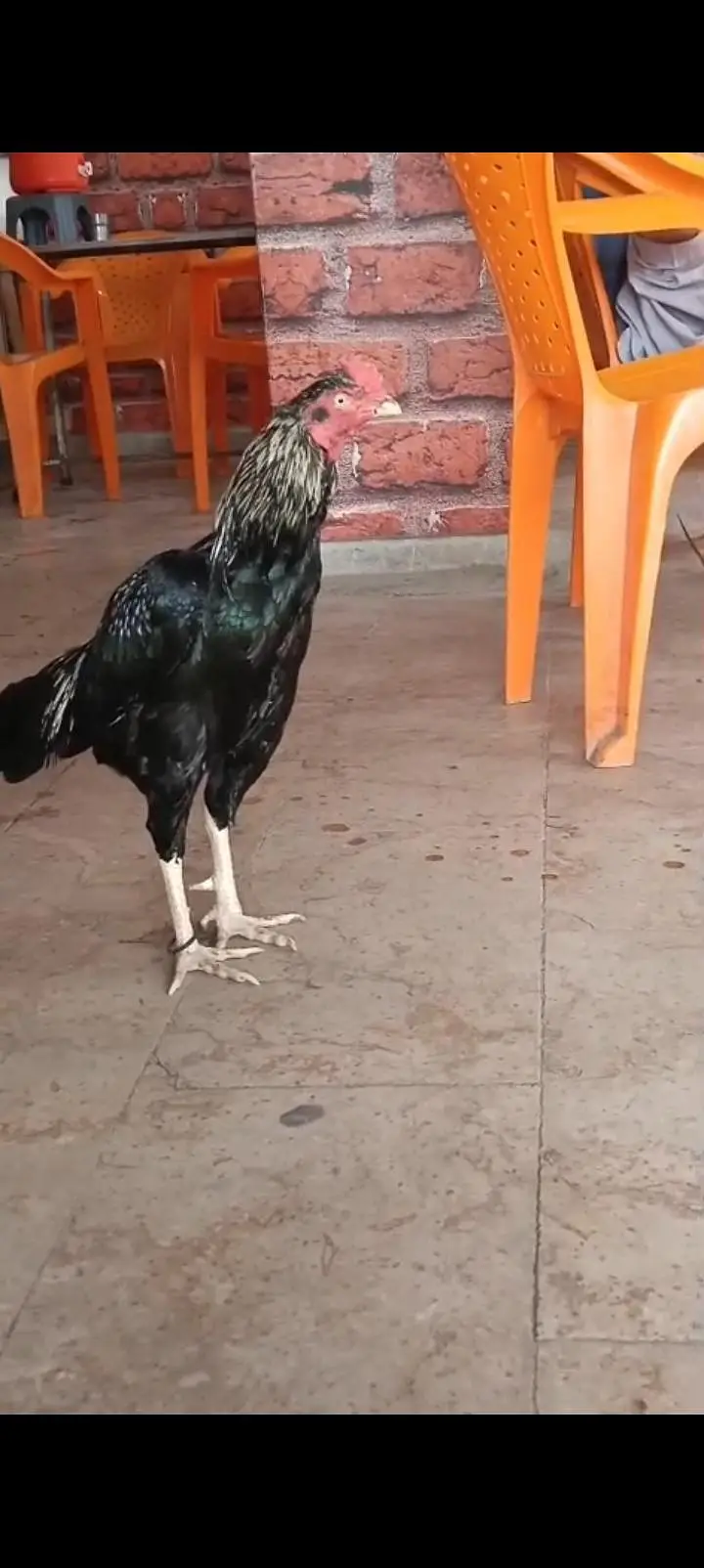 fiter — photo 2