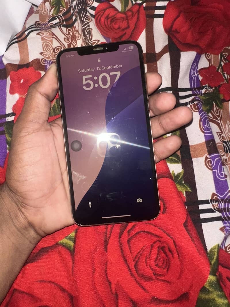 Apple iPhone XS Max 1