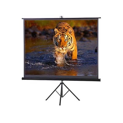 projector screen