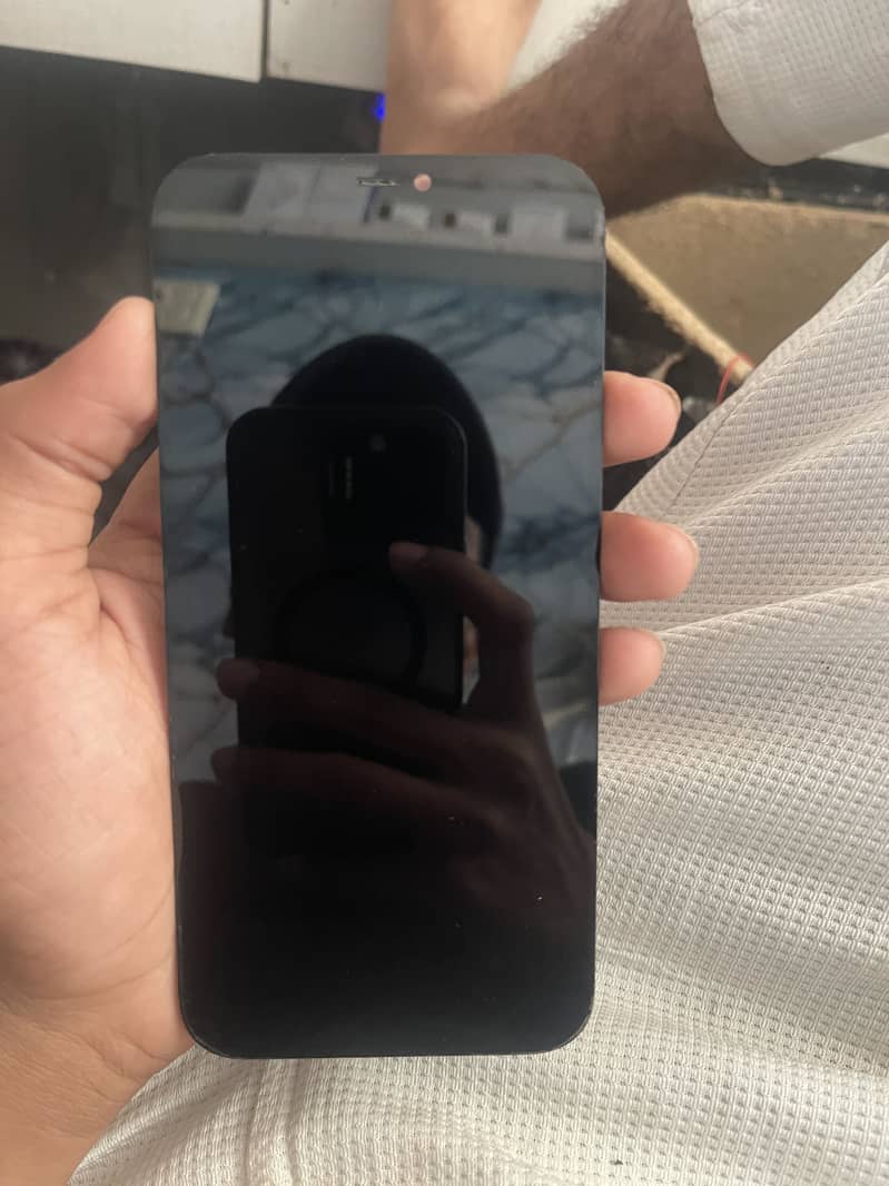 Apple iPhone 12 Pro Max 0
