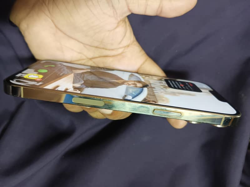 Apple iPhone 13 Pro Max 1