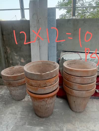 Plant Pots for sale