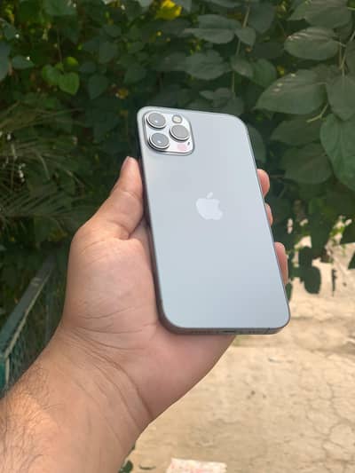 12 pro