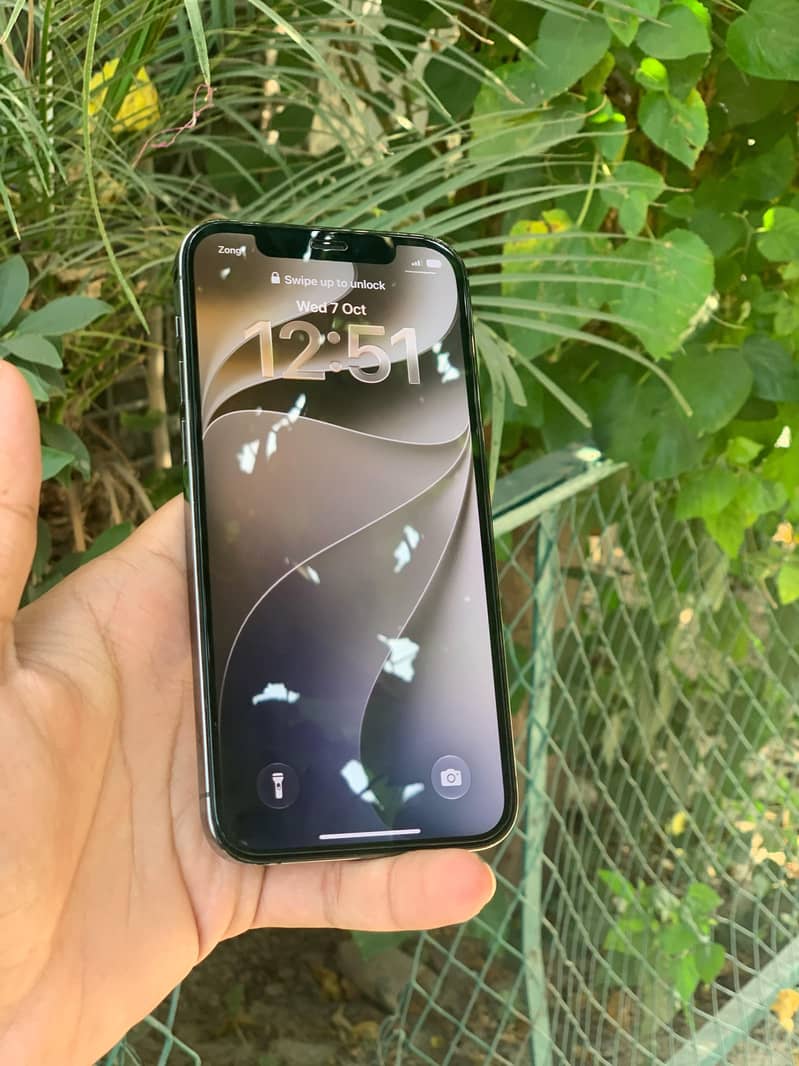 12 pro 1