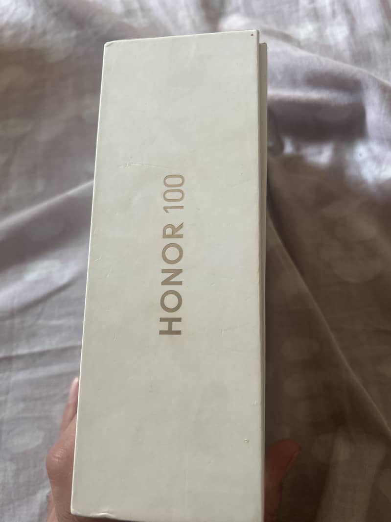 Honor 100 1