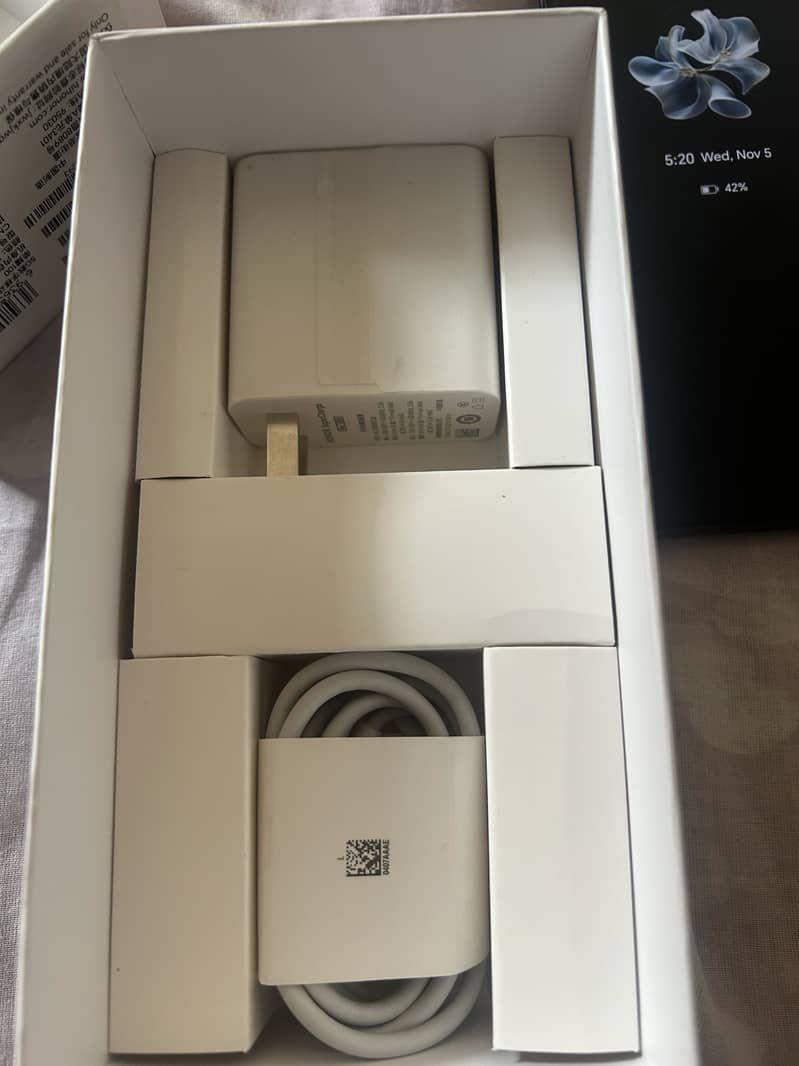 Honor 100 6