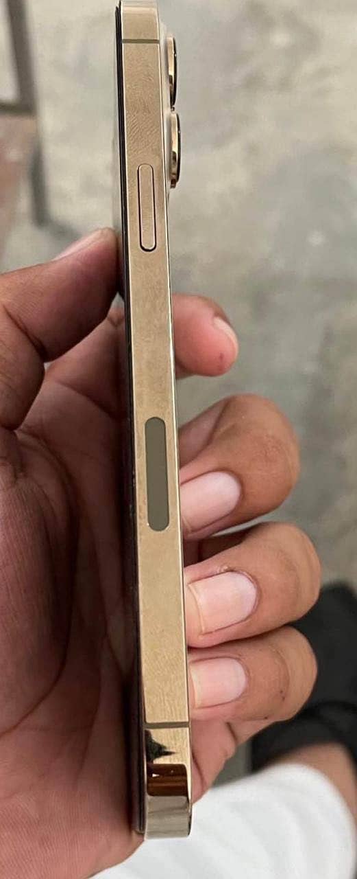 Apple iPhone 13 Pro Max 0