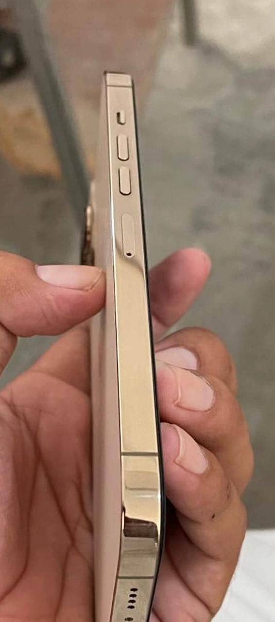 Apple iPhone 13 Pro Max 2