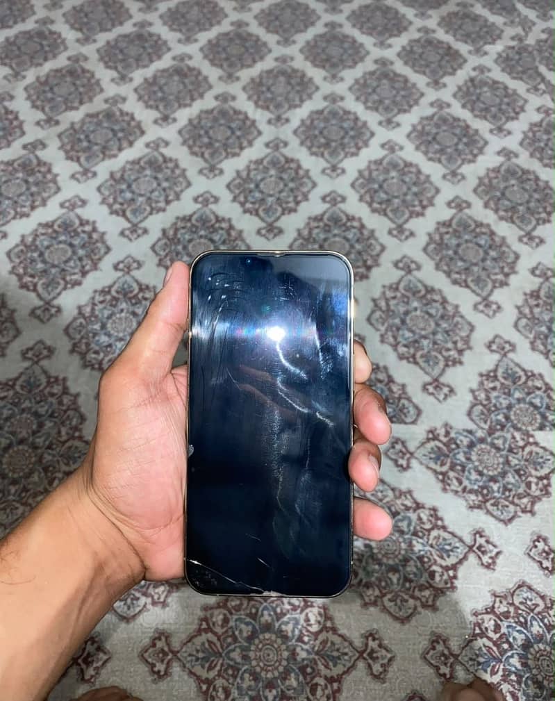 Apple iPhone 13 Pro 0