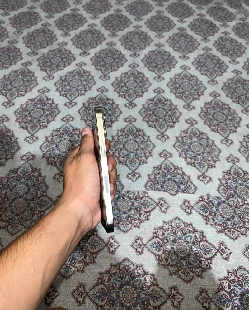 Apple iPhone 13 Pro 1