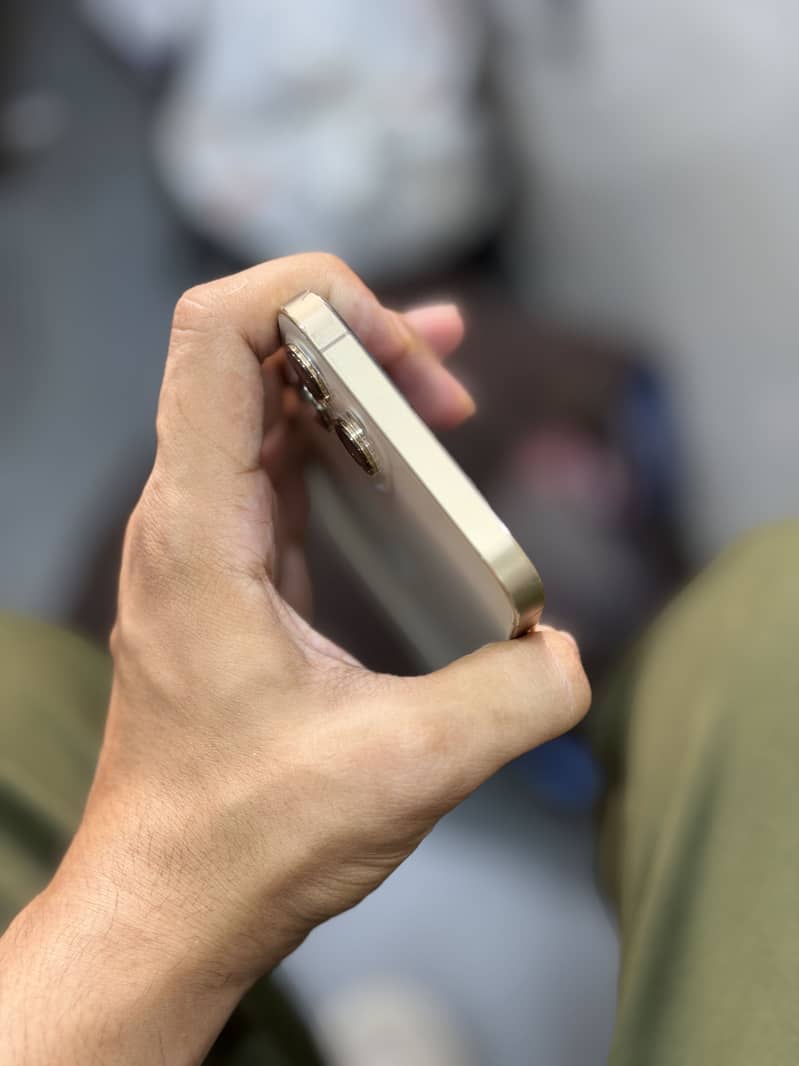Apple iPhone 12 Pro Max 1