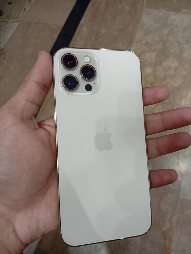Apple iPhone 12 Pro Max 1
