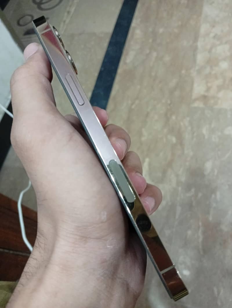 Apple iPhone 12 Pro Max 2