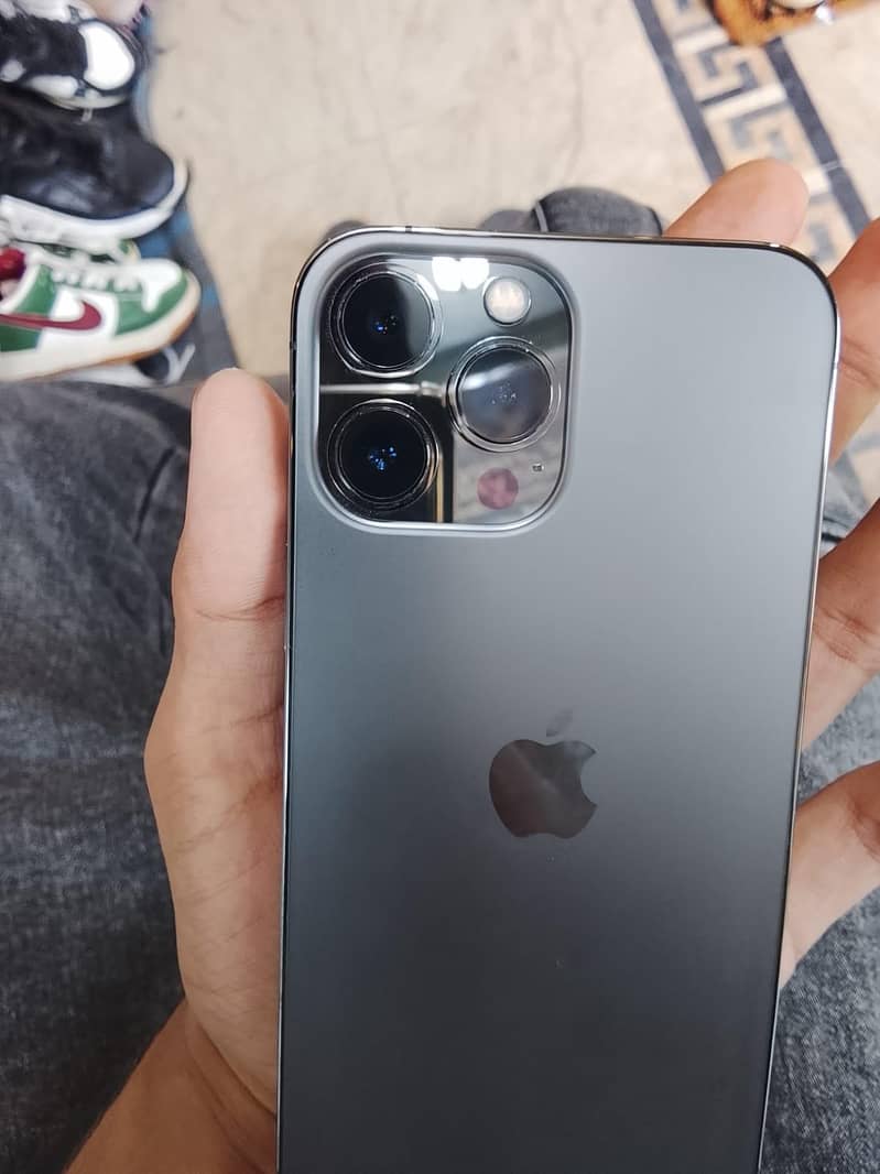Apple iPhone 13 Pro Max 1