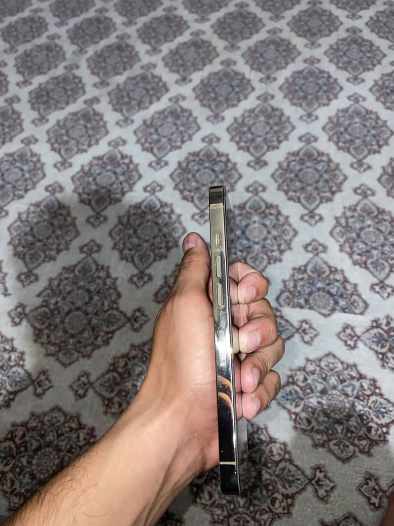 Apple iPhone 13 Pro 1
