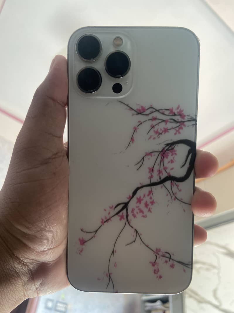 Apple iPhone 13 Pro Max 3