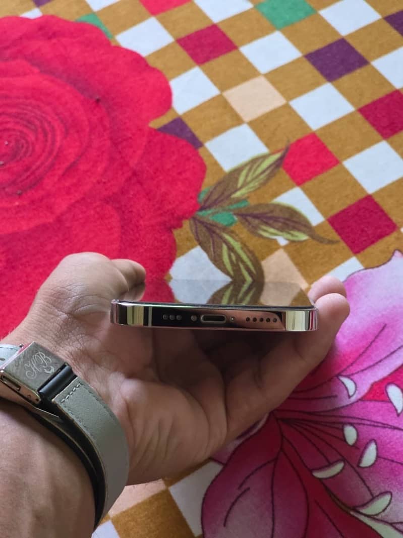 Apple iPhone 13 Pro 1