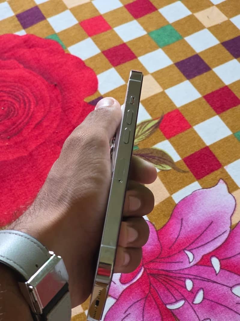 Apple iPhone 13 Pro 5