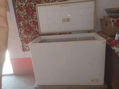 D freezer