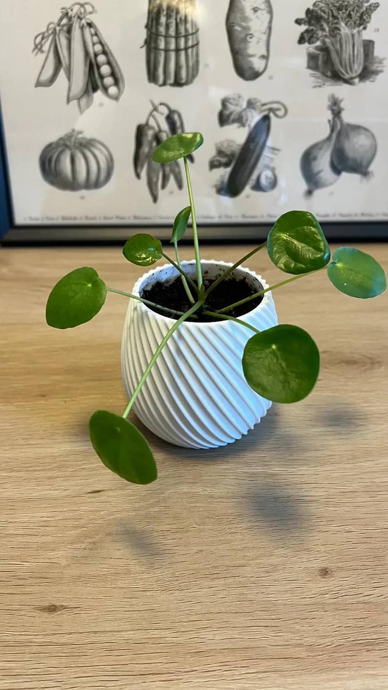 3d planter pot 1