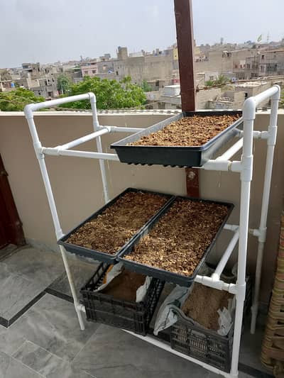 3 Tier PVC Vertical Garden Rack | Space Saving Gardening | Frame only