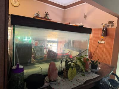 aquarium tank for sale