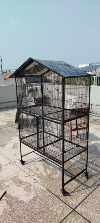 big birds cage for sale