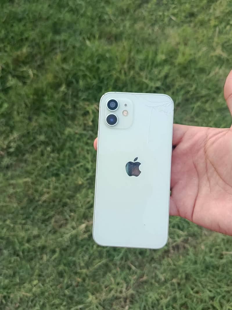 Apple iPhone 12 1