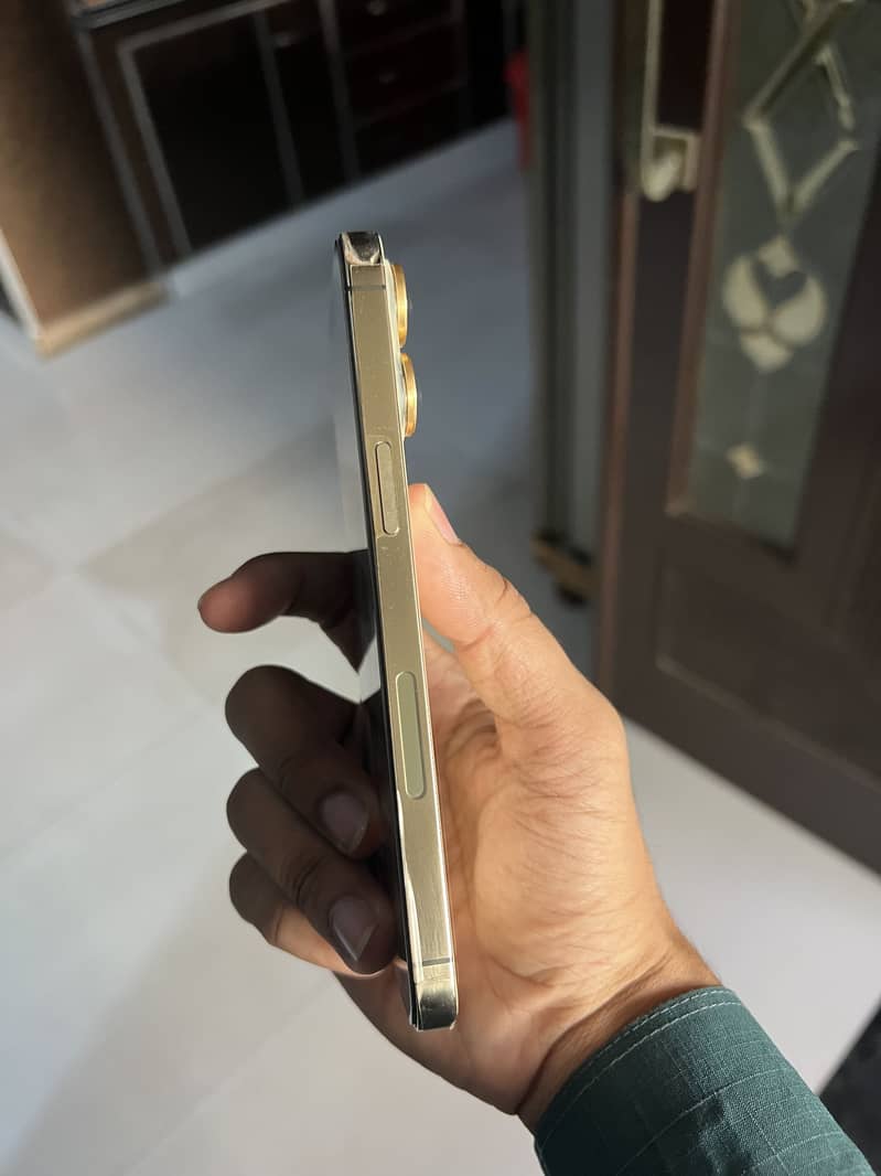 Apple iPhone 14 Pro Max 6