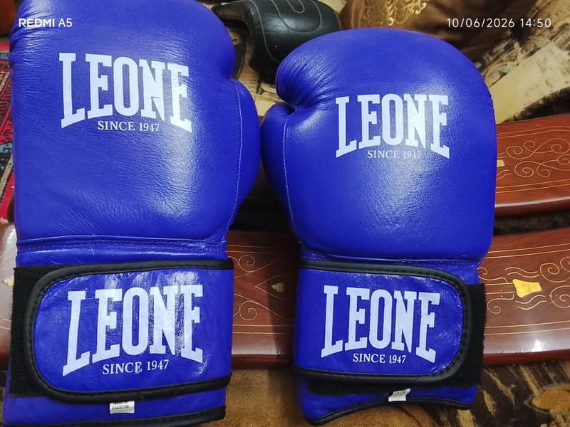 boxing gloves 1
