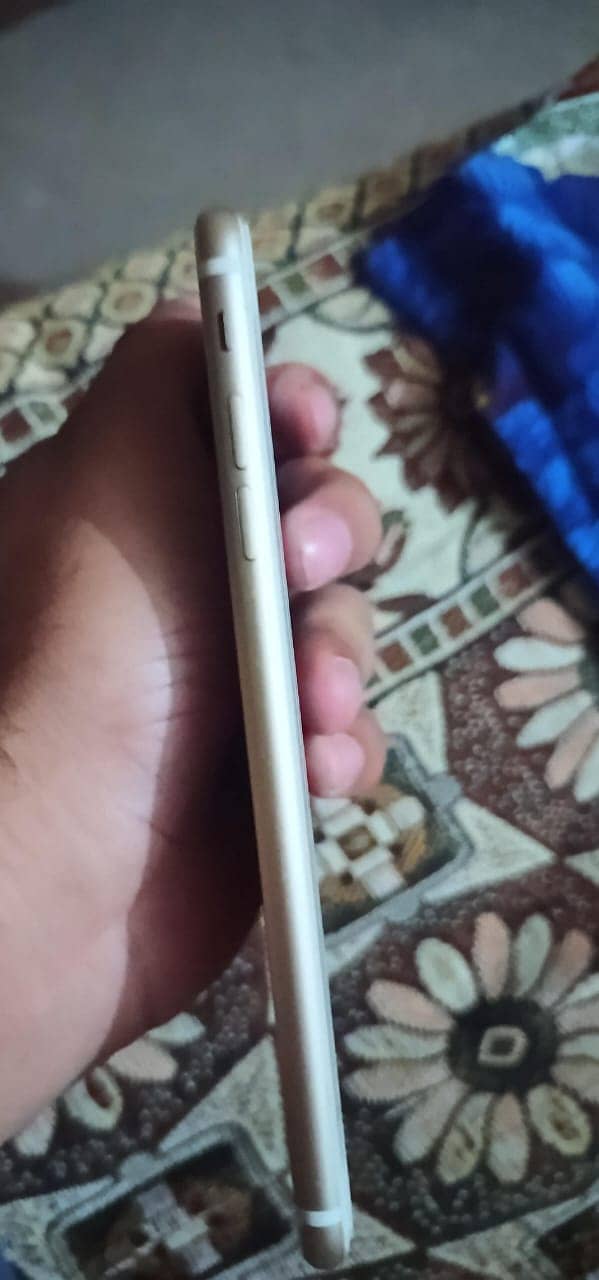Apple iPhone 7 Plus 5