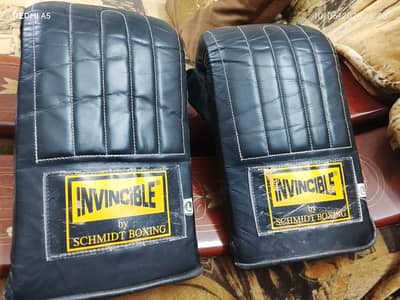 invincible bag gloves