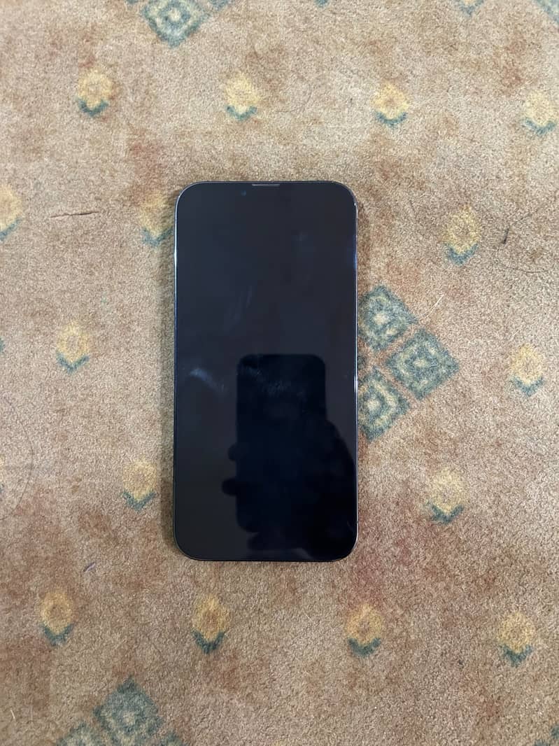 Apple iPhone 13 Pro Max 0