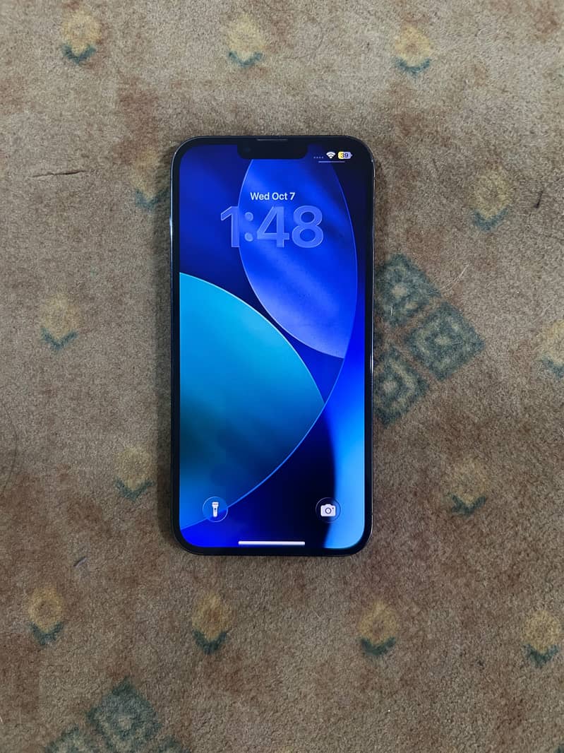 Apple iPhone 13 Pro Max 1