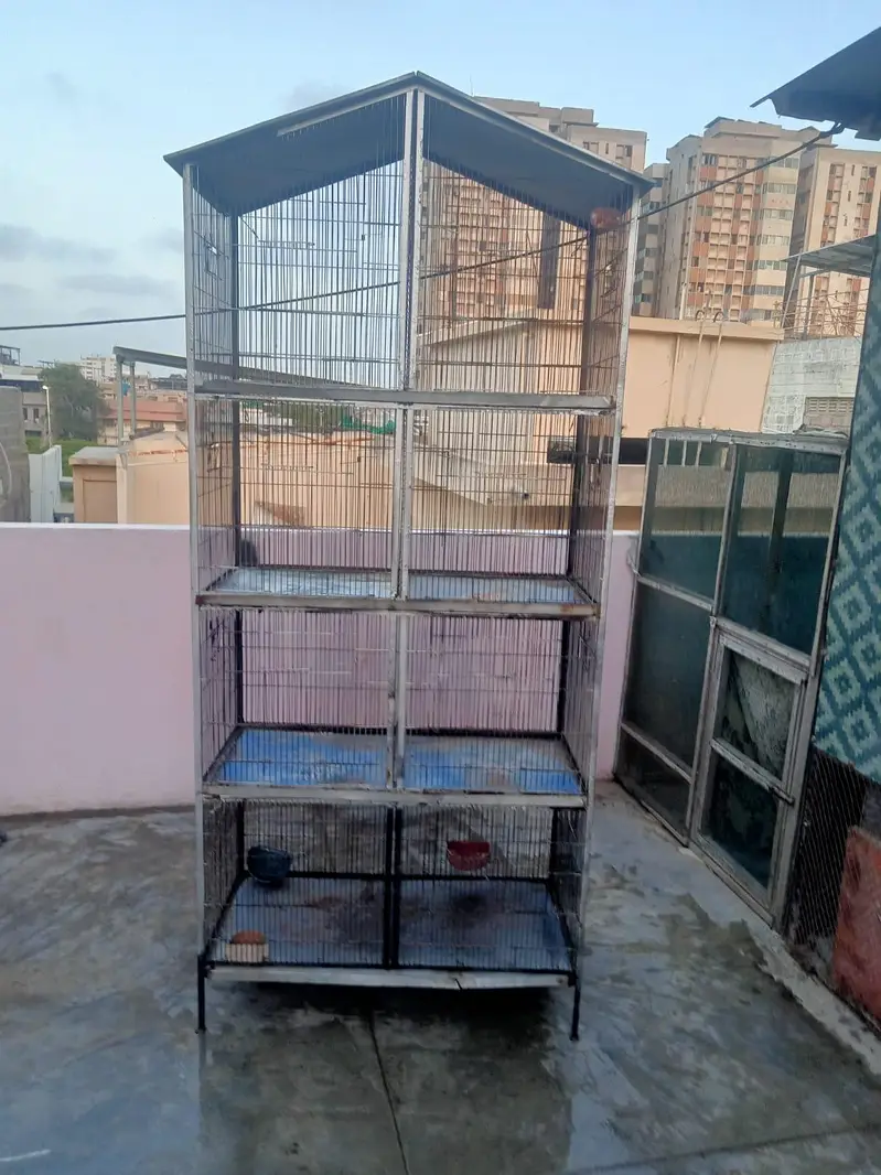 pinjra cage — photo 2