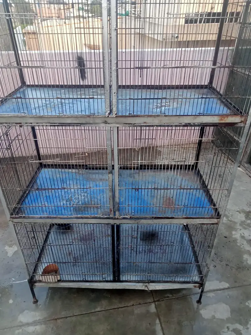 pinjra cage — photo 3