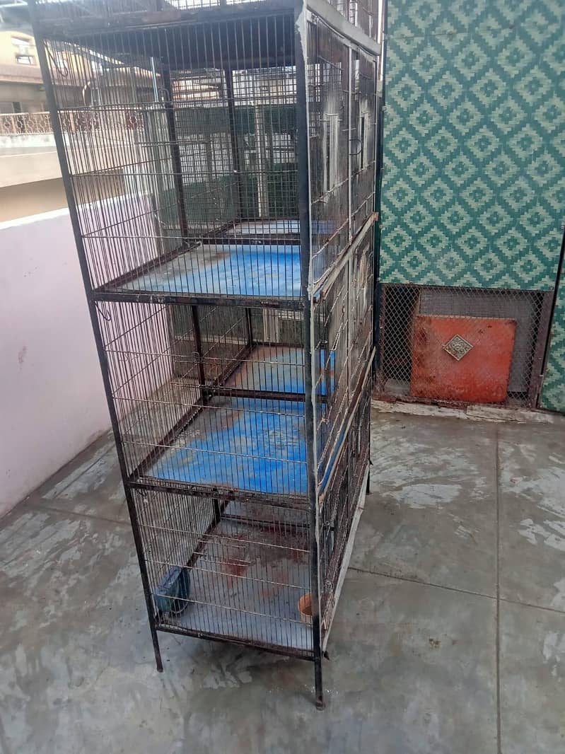pinjra cage 3