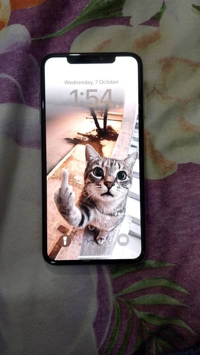 Apple iPhone XS max 11 pro max pr convert h
