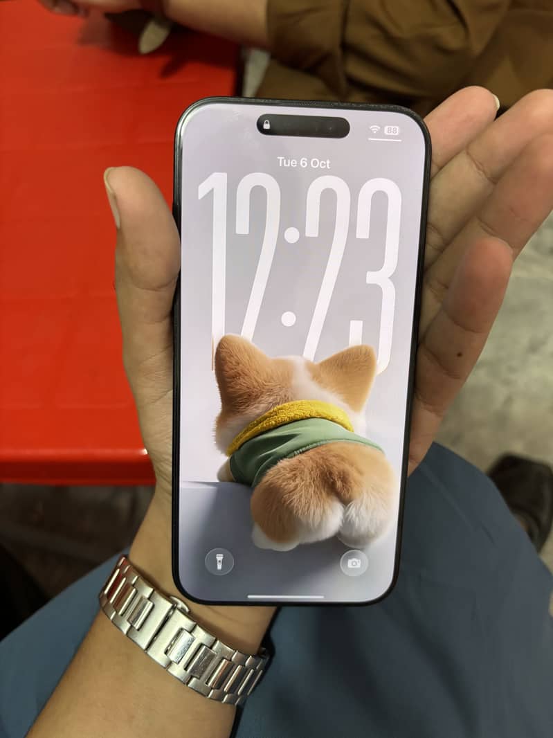 Apple iPhone 16 Pro Max 2
