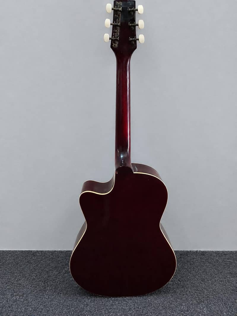 Acoustic Guitars 1
