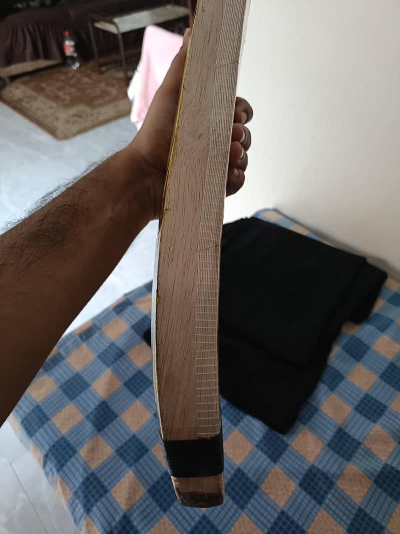 TM Original Bat 2